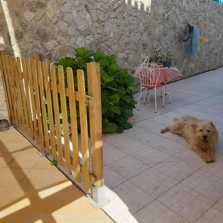 Alegria * Ericeira