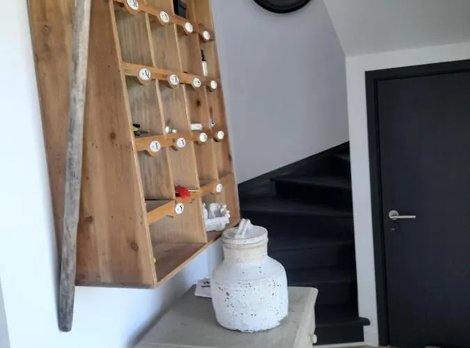 Alegria 4* 埃里塞拉