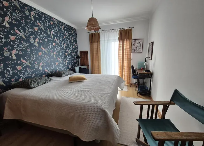 Alegria 4* 埃里塞拉