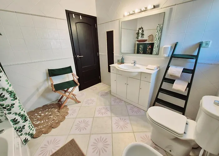 Alegria 埃里塞拉